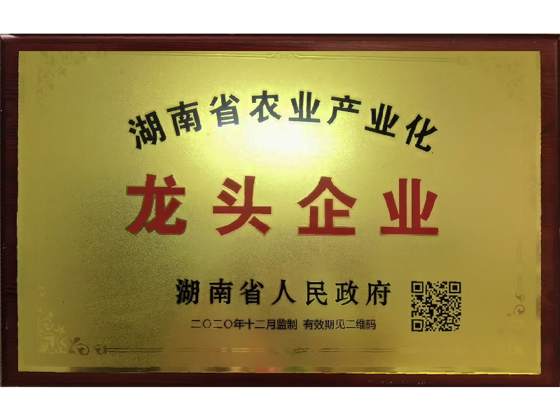 龙头企业